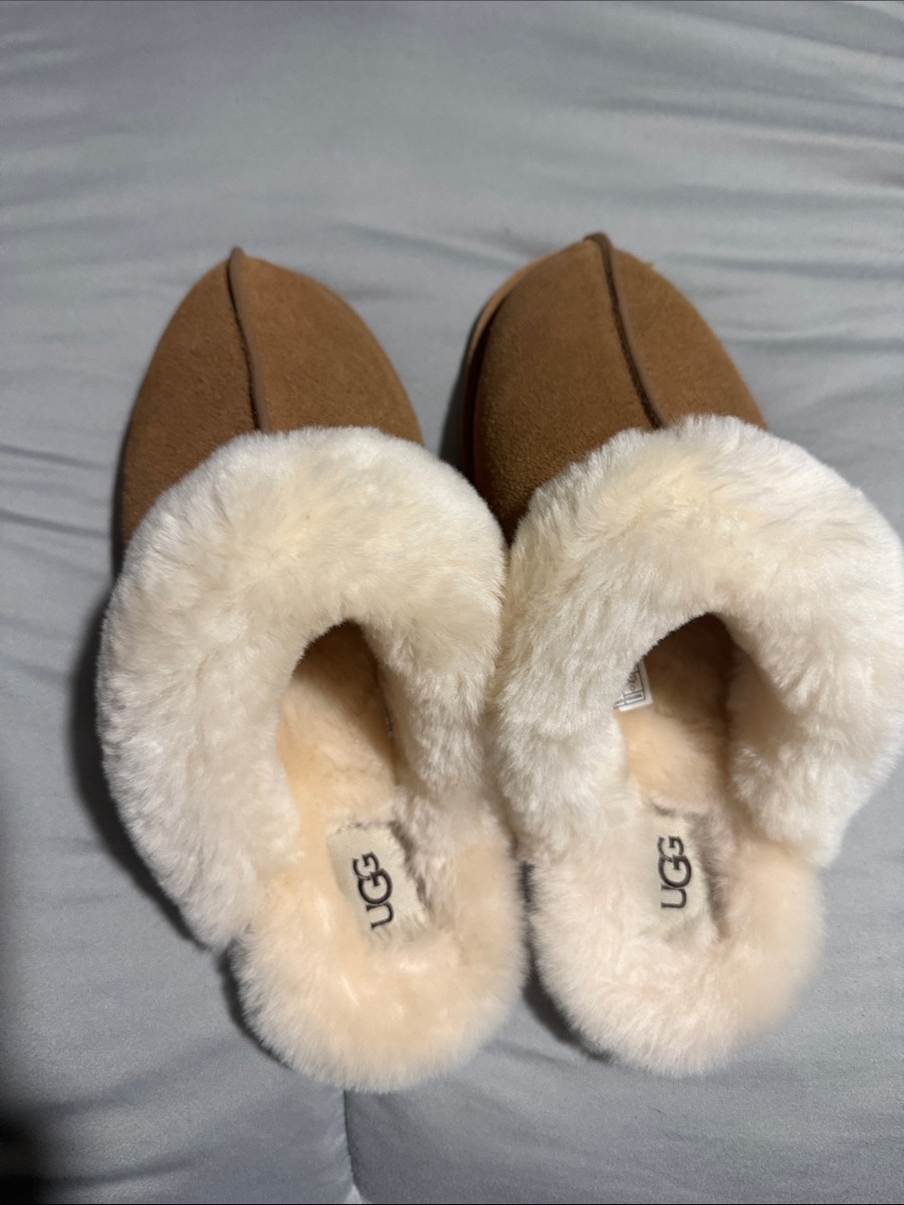 UGG Chestnut Suede Slip-On Slippers with Cream Sheepskin Collar